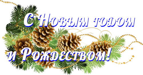 Сосновая ветка